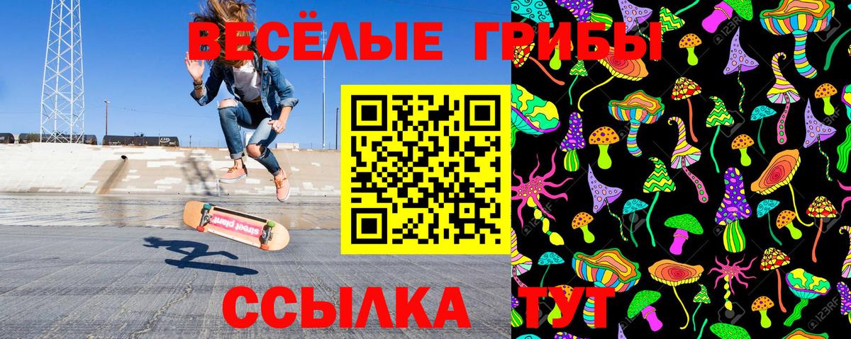 Камышлов  Галлюциногенные грибы Cubensis  купить  цена  Вход с VPN 