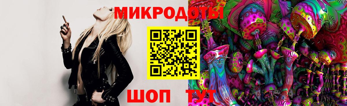 Псилоцибиновые грибы Psilocybine cubensis Камышлов