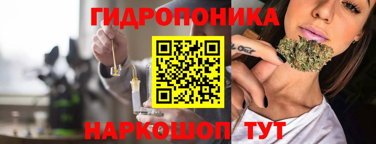 Бошки Шишки LSD WEED  Марихуана семена  Каннабис Amnesia  Вход с VPN  МАРИХУАНА тримм  Камышлов 